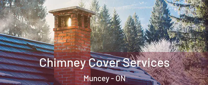  Chimney Cover Services Muncey - ON