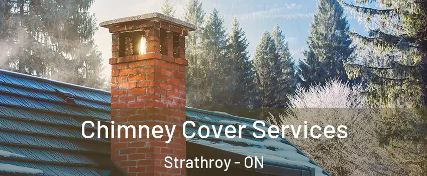  Chimney Cover Services Strathroy - ON