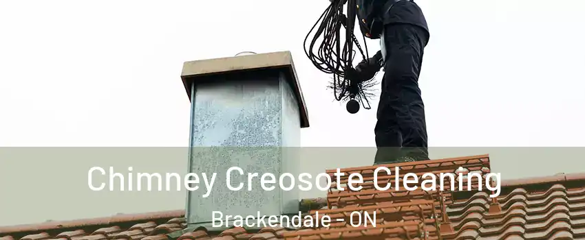  Chimney Creosote Cleaning Brackendale - ON