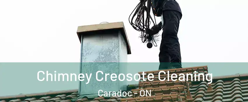  Chimney Creosote Cleaning Caradoc - ON