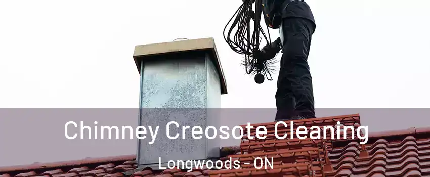  Chimney Creosote Cleaning Longwoods - ON