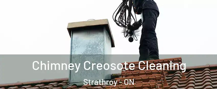  Chimney Creosote Cleaning Strathroy - ON