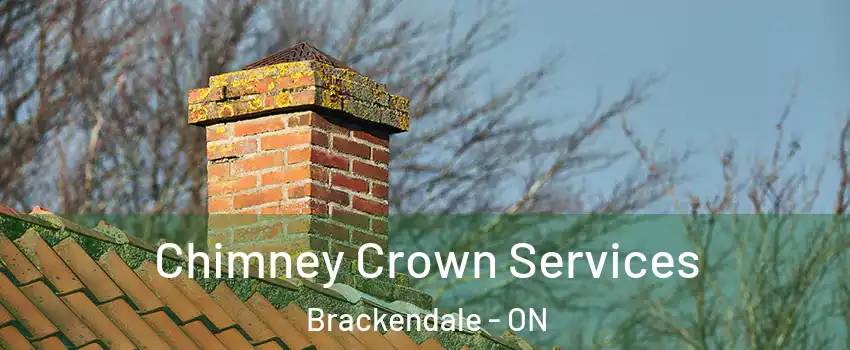  Chimney Crown Services Brackendale - ON