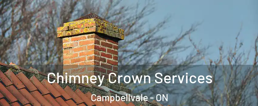  Chimney Crown Services Campbellvale - ON