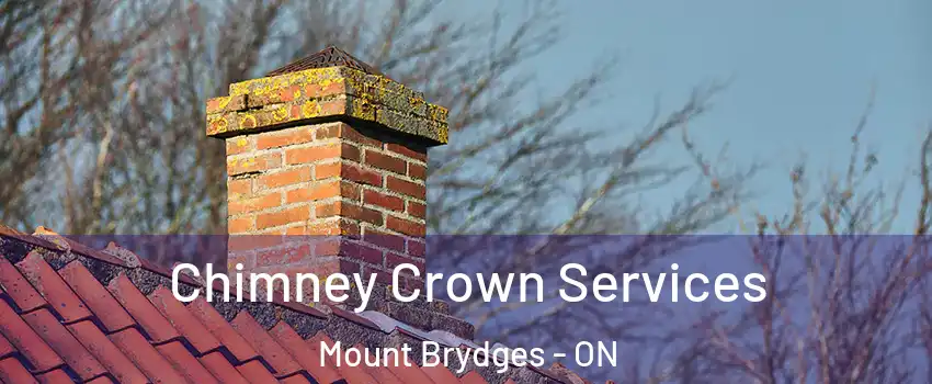 Chimney Crown Services Mount Brydges - ON