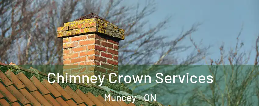  Chimney Crown Services Muncey - ON