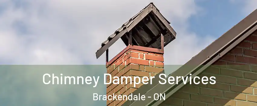  Chimney Damper Services Brackendale - ON
