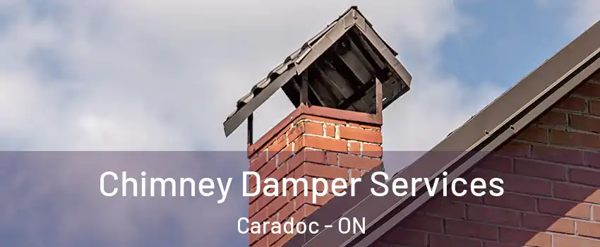  Chimney Damper Services Caradoc - ON