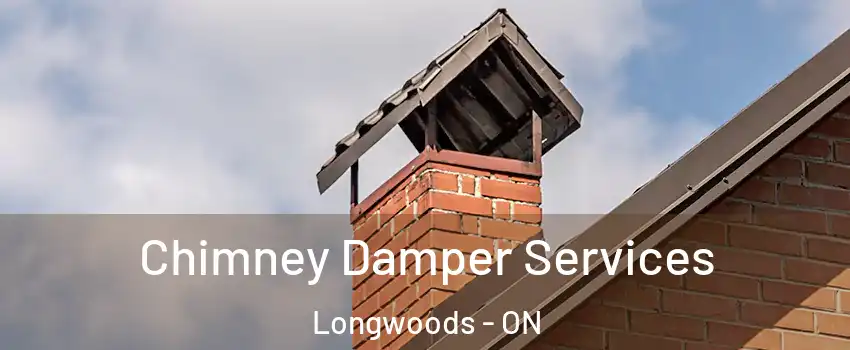  Chimney Damper Services Longwoods - ON