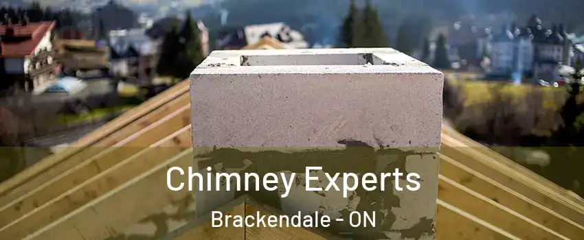  Chimney Experts Brackendale - ON