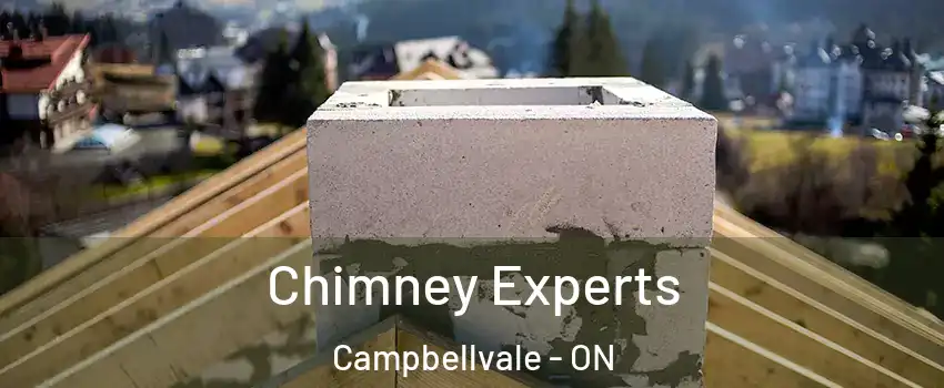  Chimney Experts Campbellvale - ON