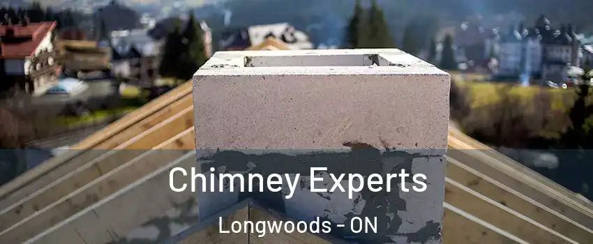  Chimney Experts Longwoods - ON