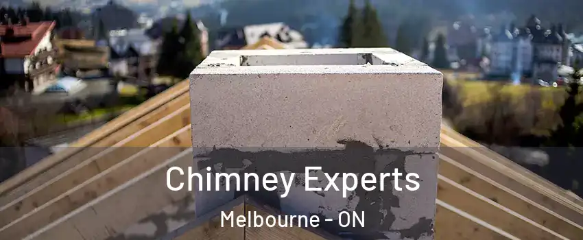  Chimney Experts Melbourne - ON