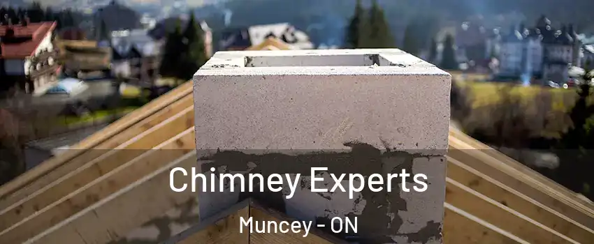  Chimney Experts Muncey - ON