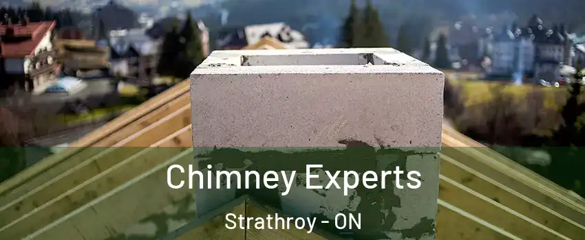  Chimney Experts Strathroy - ON