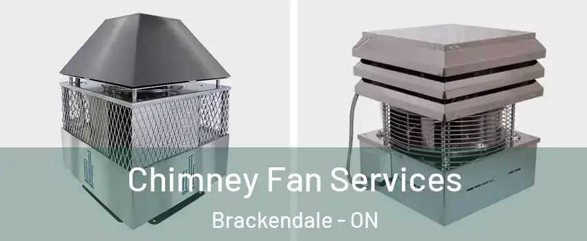  Chimney Fan Services Brackendale - ON