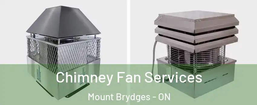  Chimney Fan Services Mount Brydges - ON