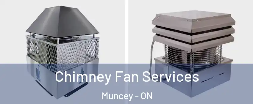  Chimney Fan Services Muncey - ON
