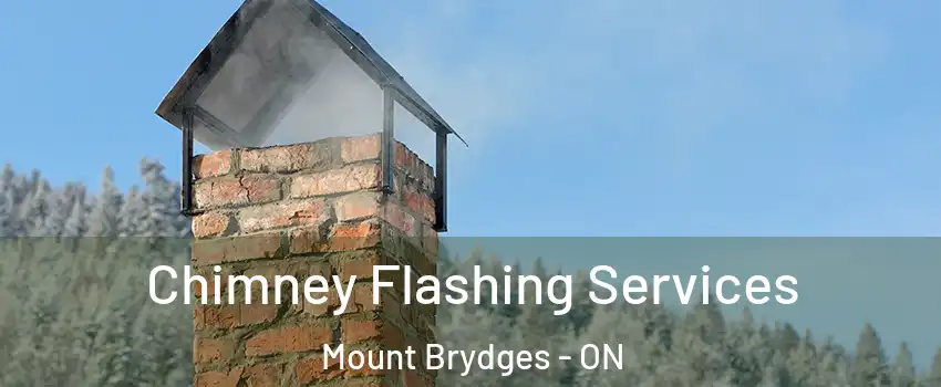  Chimney Flashing Services Mount Brydges - ON