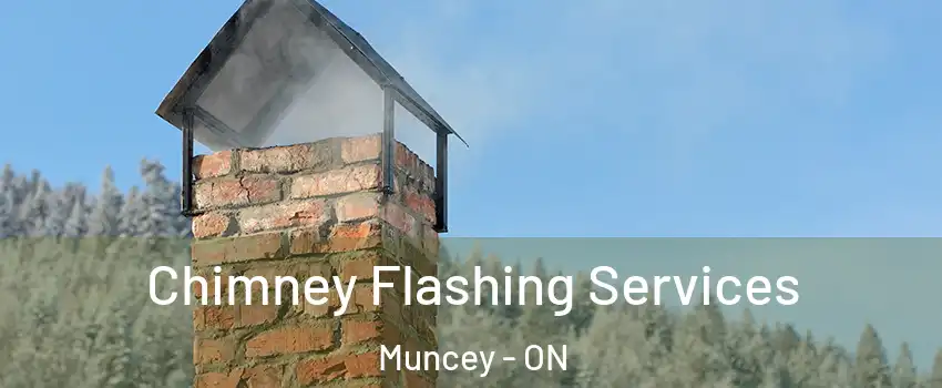  Chimney Flashing Services Muncey - ON
