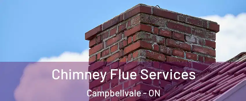  Chimney Flue Services Campbellvale - ON