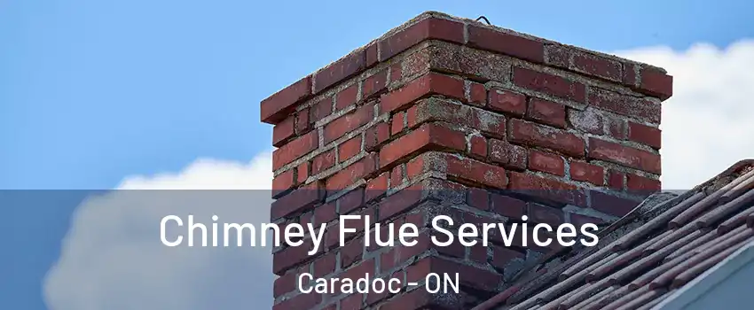  Chimney Flue Services Caradoc - ON