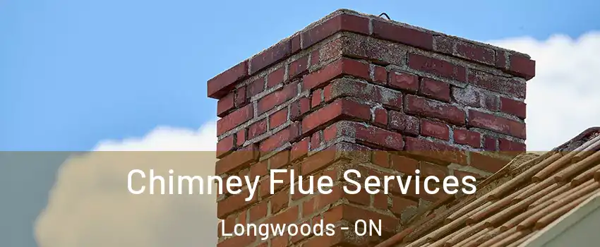  Chimney Flue Services Longwoods - ON