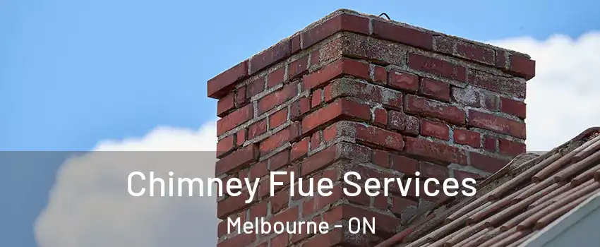  Chimney Flue Services Melbourne - ON