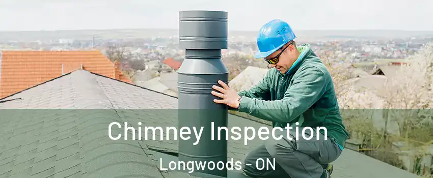  Chimney Inspection Longwoods - ON