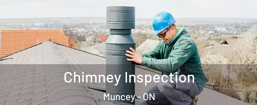  Chimney Inspection Muncey - ON