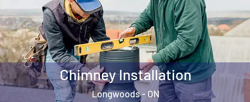  Chimney Installation Longwoods - ON