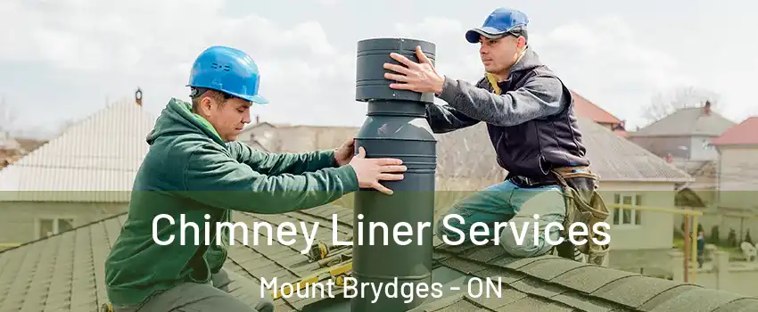  Chimney Liner Services Mount Brydges - ON