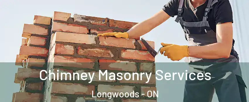  Chimney Masonry Services Longwoods - ON