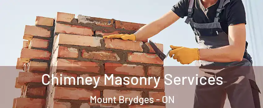  Chimney Masonry Services Mount Brydges - ON