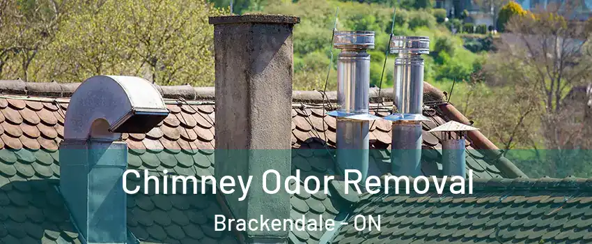  Chimney Odor Removal Brackendale - ON