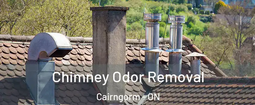  Chimney Odor Removal Cairngorm - ON