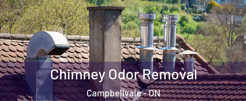  Chimney Odor Removal Campbellvale - ON