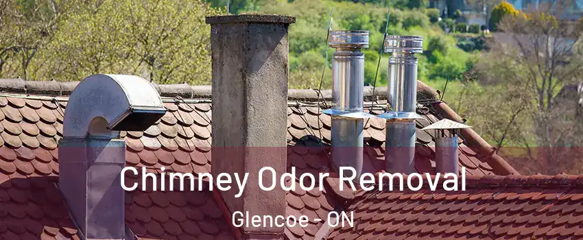  Chimney Odor Removal Glencoe - ON