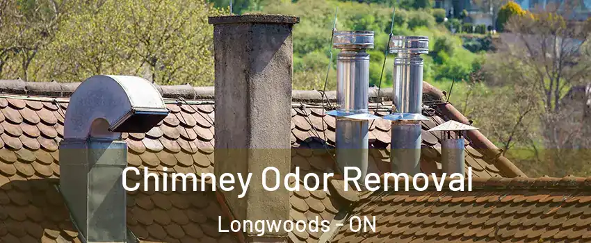  Chimney Odor Removal Longwoods - ON