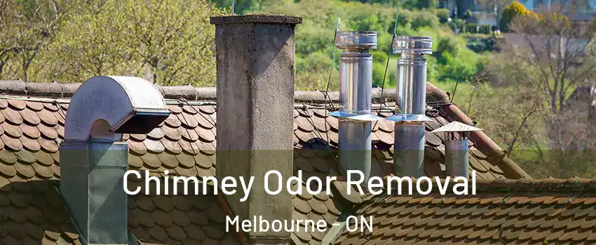  Chimney Odor Removal Melbourne - ON