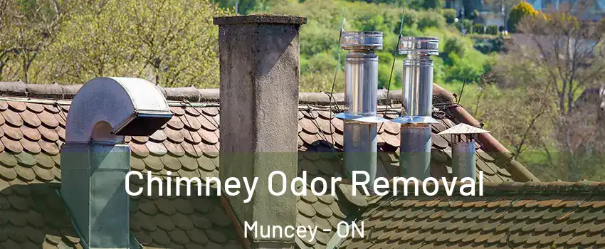 Chimney Odor Removal Muncey - ON