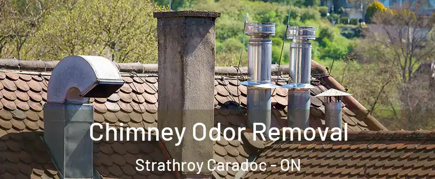  Chimney Odor Removal Strathroy Caradoc - ON