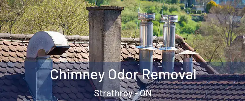  Chimney Odor Removal Strathroy - ON