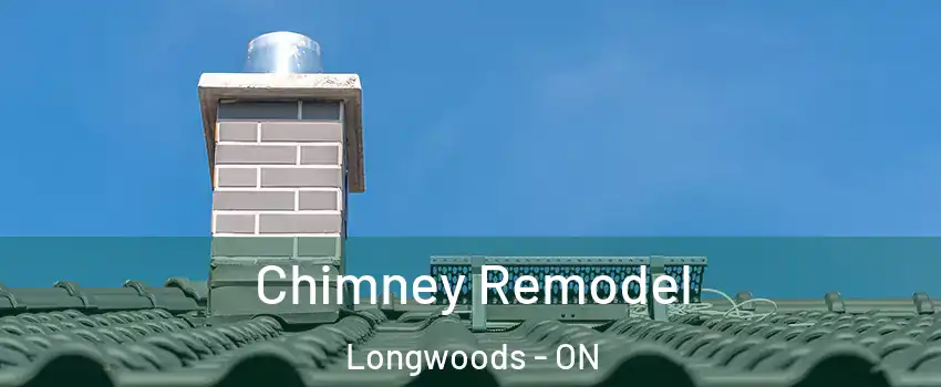  Chimney Remodel Longwoods - ON