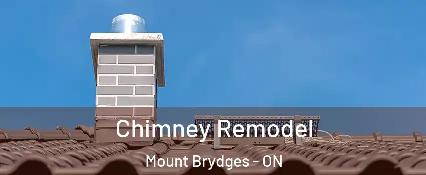  Chimney Remodel Mount Brydges - ON