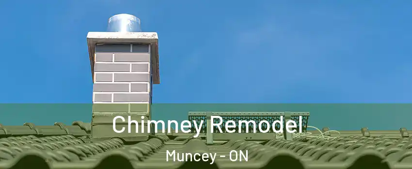  Chimney Remodel Muncey - ON