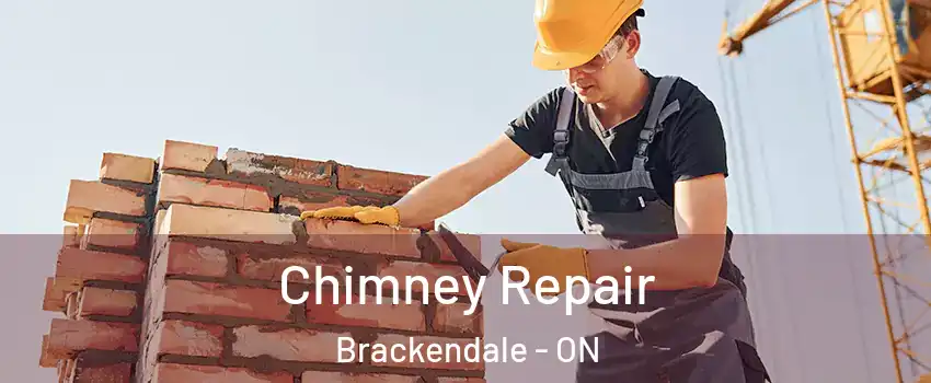 Chimney Repair Brackendale - ON