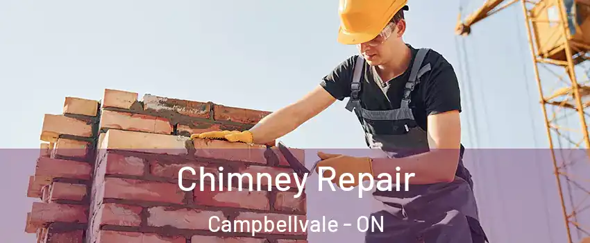  Chimney Repair Campbellvale - ON