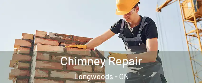  Chimney Repair Longwoods - ON