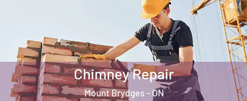  Chimney Repair Mount Brydges - ON